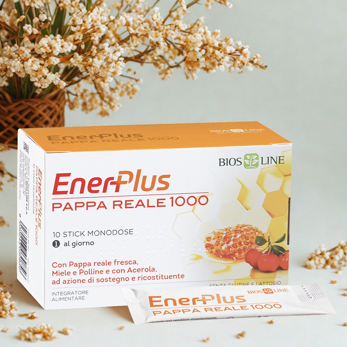 enerplus pappa reale