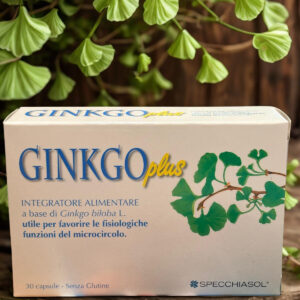 ginkgo plus