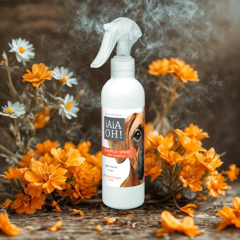 iaiaoh shampoo spray
