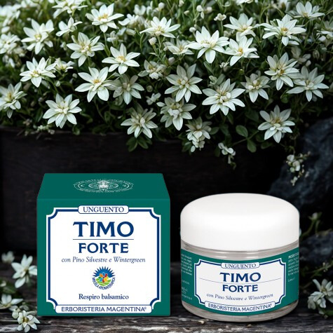 timo forte unguento