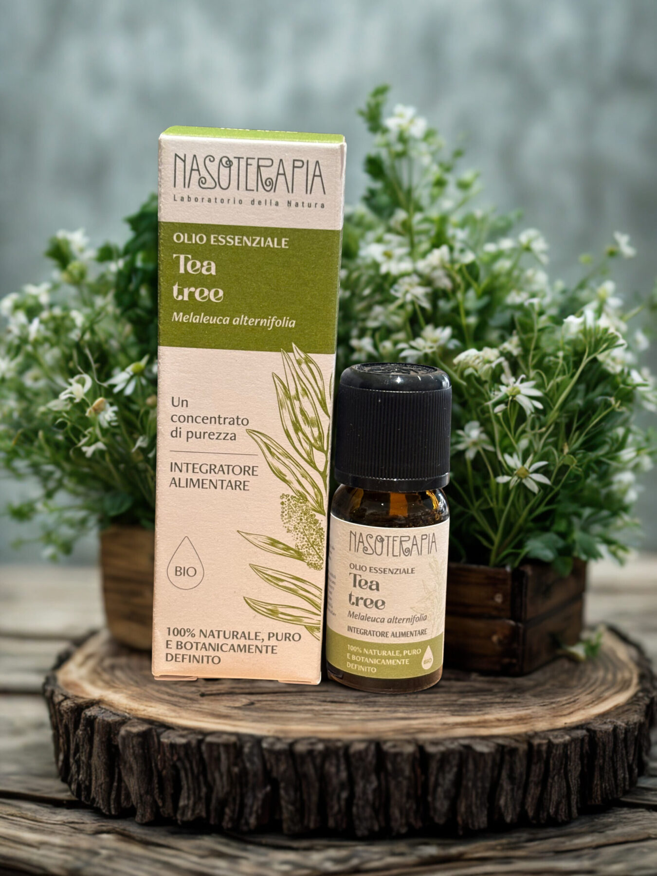 Tea tree olio essenziale puro bio