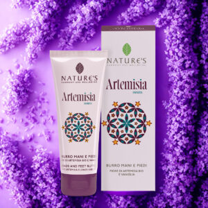 artemisia fiorita burro mani e piedi