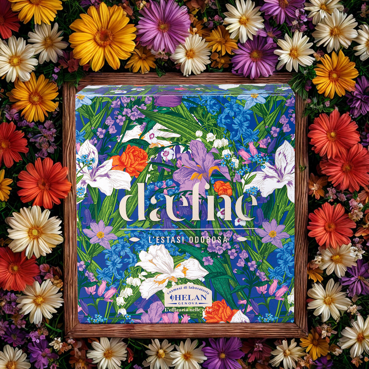 daefne cofanetto regalo