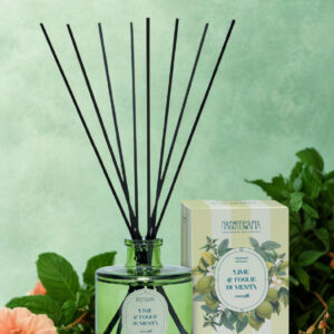 lime e foglie di menta diffusore a bastoncini