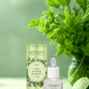 lime e foglie di menta essenza aromatica