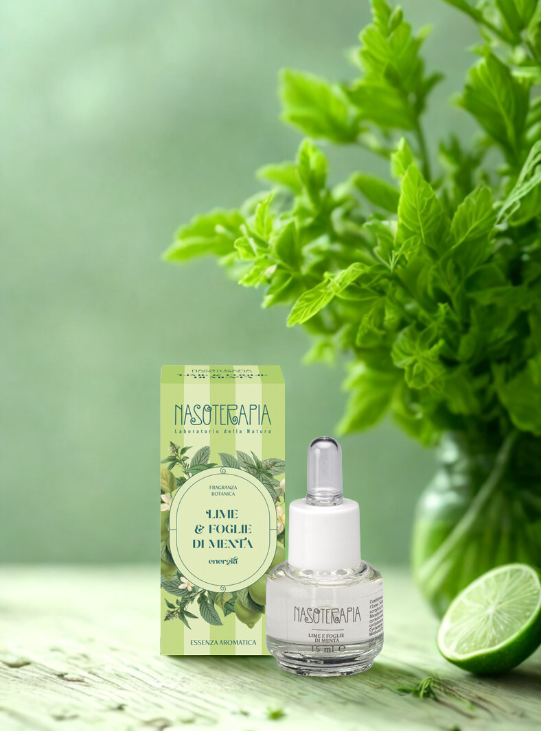 lime e foglie di menta essenza aromatica