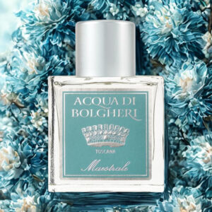 maestrale eau de parfum 100ml