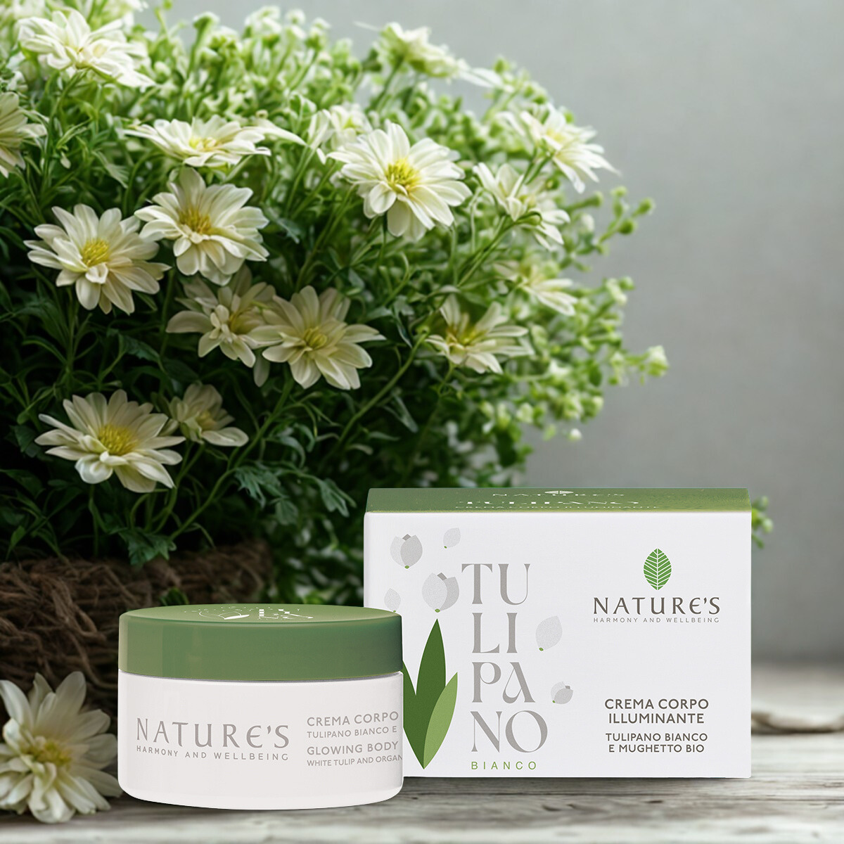 tulipano bianco Crema Corpo Illuminante