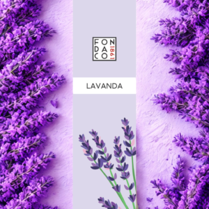 lavanda bastoncini di incenso naturale