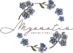 logo myosotis